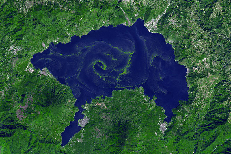 File:Harmful Bloom in Lake Atitlán, Guatemala.jpg