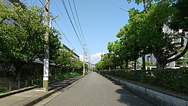 市道大町団地757号線に沿った街並み