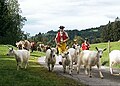 Appenzeller Tracht