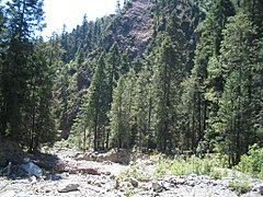 Cañadas del Parque Nacional La Malinche, Tlaxcala (25015391652).jpg