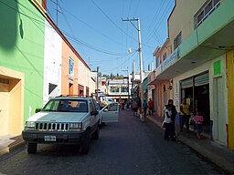 En gata i Apaxco de Ocampo.