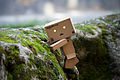 Danbo climbing.