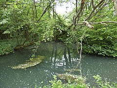 Marais de la Brêche