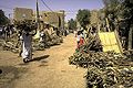 Image 30Selling firewood at a market (from Tree)