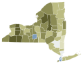 NY 2021 election proposals #3