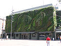 Le Mur végétal des Halles d'Avignon, Patrick Blanc, 2005.