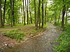 Als eingebundener Wasserlauf im Kurpark Kreischa