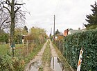 Johanniskrautweg vom Kräuterweg nordwärts gesehen