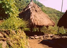 In an outdoor clearing a structure dominated by a thatched brown-colored nipa roof stands slightly elevated from stone base abutting packed earth.