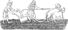 A crude medieval line drawing, showing a man with a team of two oxen ploughing a field, assisted by a woman. Both the man and woman are dressed in long medieval cloths.