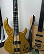 John Taylor model Bass