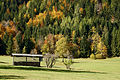 English: Hayrack at the Bodenbauer Deutsch: Heutrocknungsgerüst beim Bodenbauer