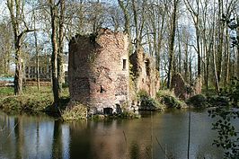 Ruïne met onder meer een deel van een toren