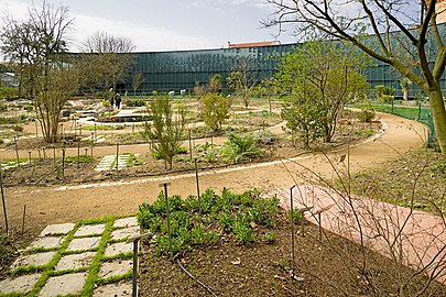 Le jardin botanique Henri Gaussen - La spirale ethnobotanique.