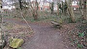 Thumbnail for File:A bench to stop for a rest, Green Lane Copse - geograph.org.uk - 4563051.jpg