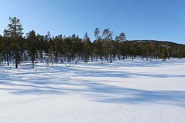 Kattajärvi