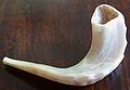 Shofar askenazí.[5]​