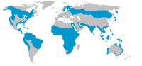 Distribución global de Pandion haliaetus