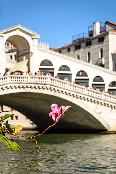 File:Ponte di Rialto3.jpg