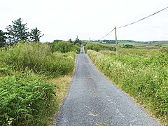 Switchback road at Ballyteige - geograph.org.uk - 3566616.jpg