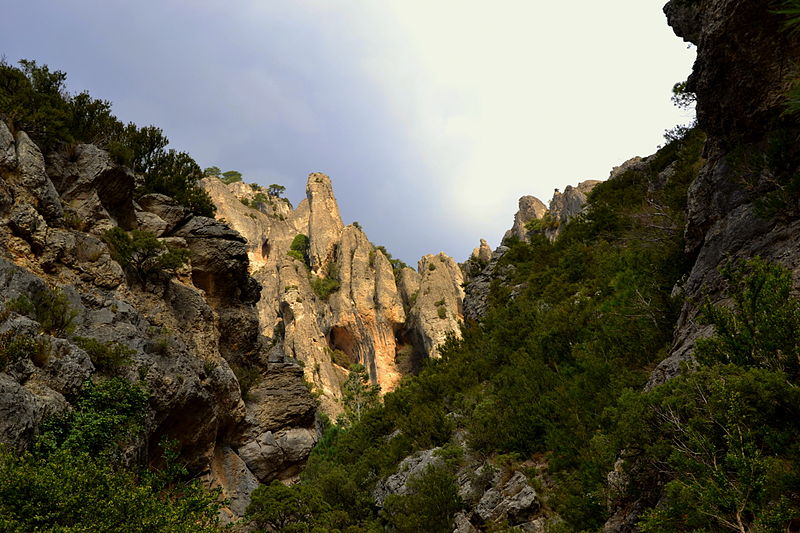 File:Barrancs de Sant Antoni-Lloret-la Galera - 13.jpg