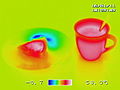 Thermal infrared photo