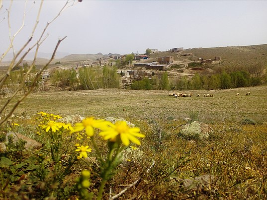 روستای سوارا مشگین‌شهر