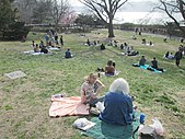 The Billings Lawn, a small lawn