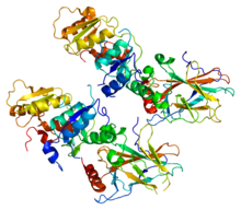 Protein TP53BP1 PDB 1gzh.png