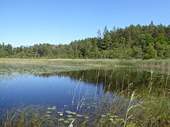 Tutjarnen Sandsjobacka Vastergotland Sweden S part 8July2023.jpg