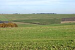 Thumbnail for File:Ancient field system, Mere End Down - geograph.org.uk - 2747633.jpg