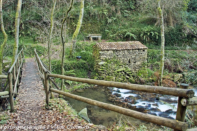 File:Parque da Cabreia - Portugal (5693498513).jpg