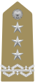 Distintivo per controspallina di generale di corpo d'armata dell'Esercito Italiano