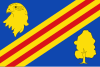 Bandeira de Toril y Masegoso