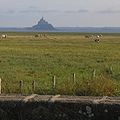 Genêts, Frankreich, Blick auf den Mont-Saint-Michel