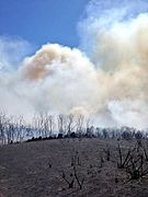 Incendio Praza Publica Cualedro.jpg