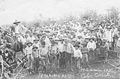 Imigrantes japoneses indo para a colheita de café, 1930