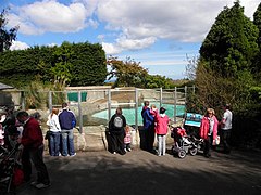 Penguin pool, Belfast Zoo - geograph.org.uk - 1848036.jpg