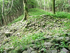 浦生石塁の断面部