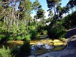 Riera de Navel (Berguedà)