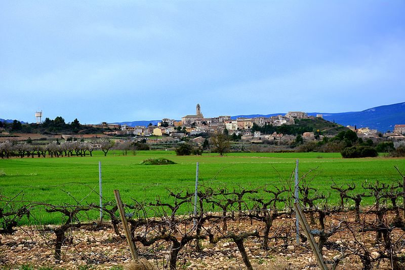 File:Barberà de la Conca, vinyes i sembrat. (23932700559).jpg