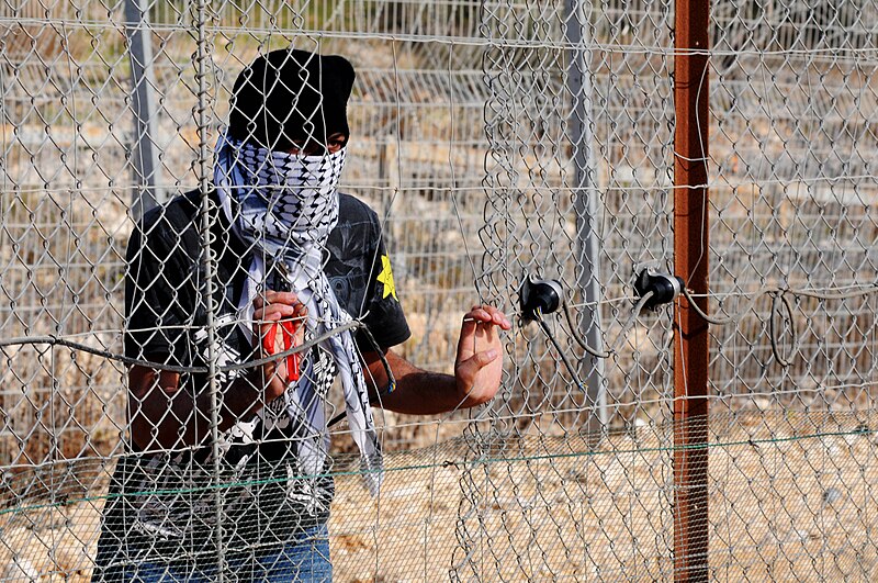 File:Bil'in demonstration, Jan 2011 (2).jpg