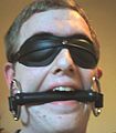 Blindfold and bit gag