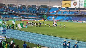 Deportivo Cali vs Equidad, fecha 16 del Torneo Finalización 2013