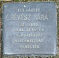 Révész Sára, Szabadság tér 9.