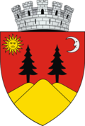 Wappen von Fălticeni