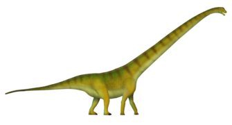 Mamenchisaurus UDL.png