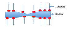 Marangoni effect of a film