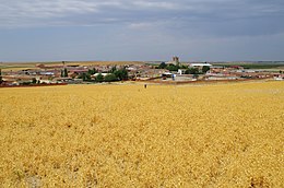 Bobadilla del Campo – Veduta