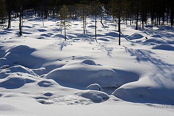 Nature of Inari